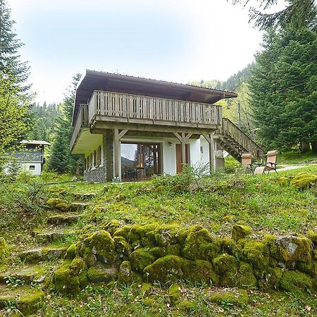 Le Schwarzwald - A Proximite Des Stations De Ski La Bresse Exteriör bild