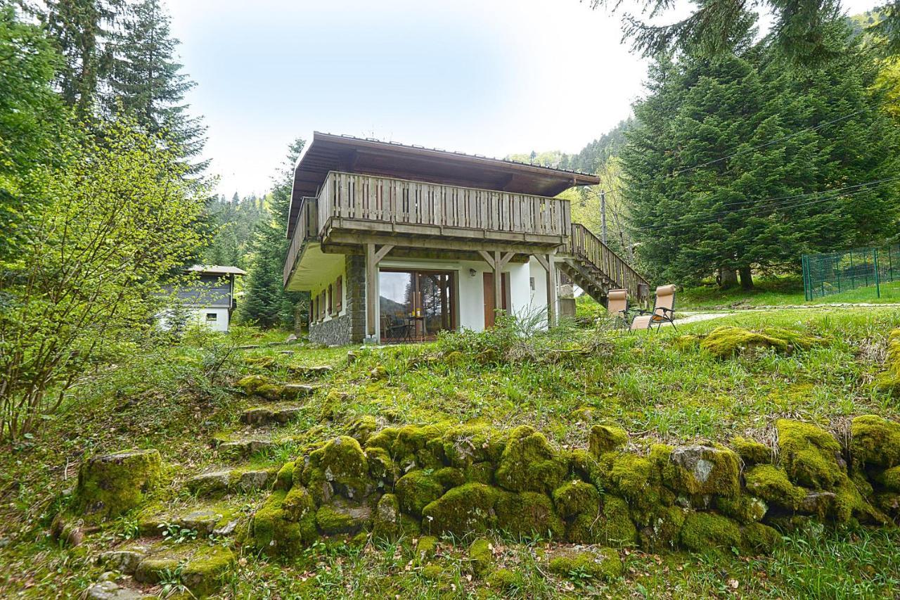 Le Schwarzwald - A Proximite Des Stations De Ski La Bresse Exteriör bild